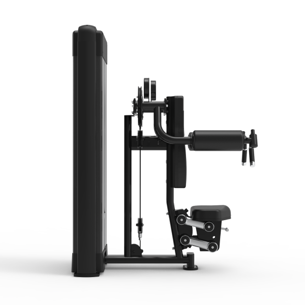 Lateral Raise - Nemesis Series Selectorized