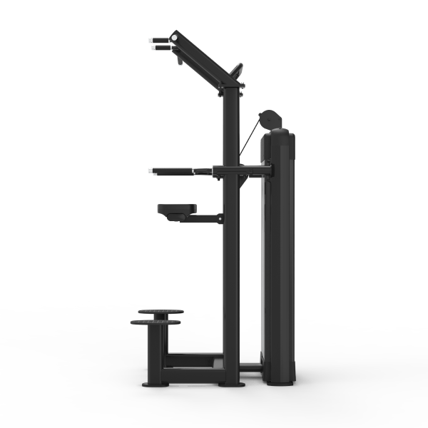 Assisted Chin/Dip - Nemesis Series Selectorized