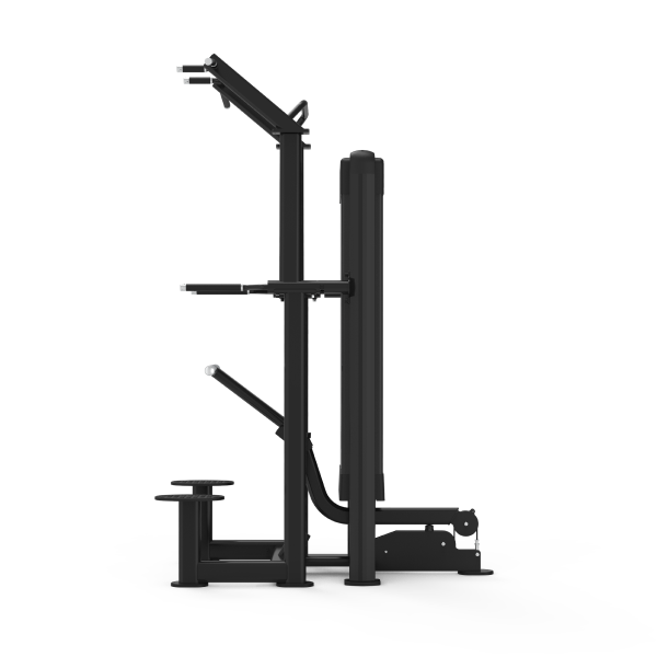 Standing Assisted Chin/Dip - Nemesis Series Selectorized