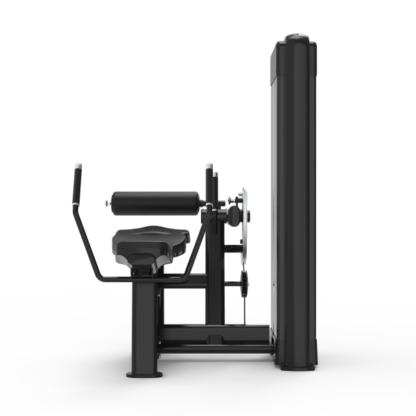 Lower Abdominal Trainer - Nemesis Series Selectorized