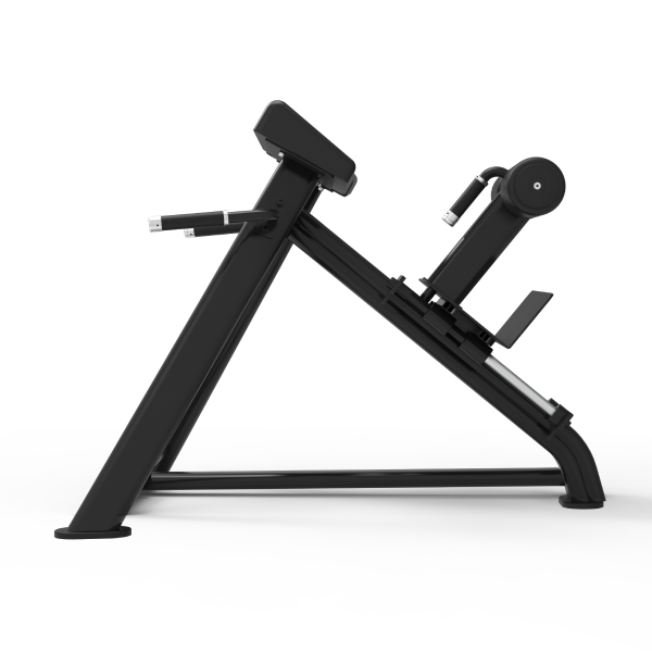 Adjustable Hyperextension - Nemesis Series Free Weight