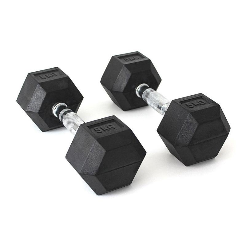 AlphaState Hexagon Dumbbells - Gym Concepts