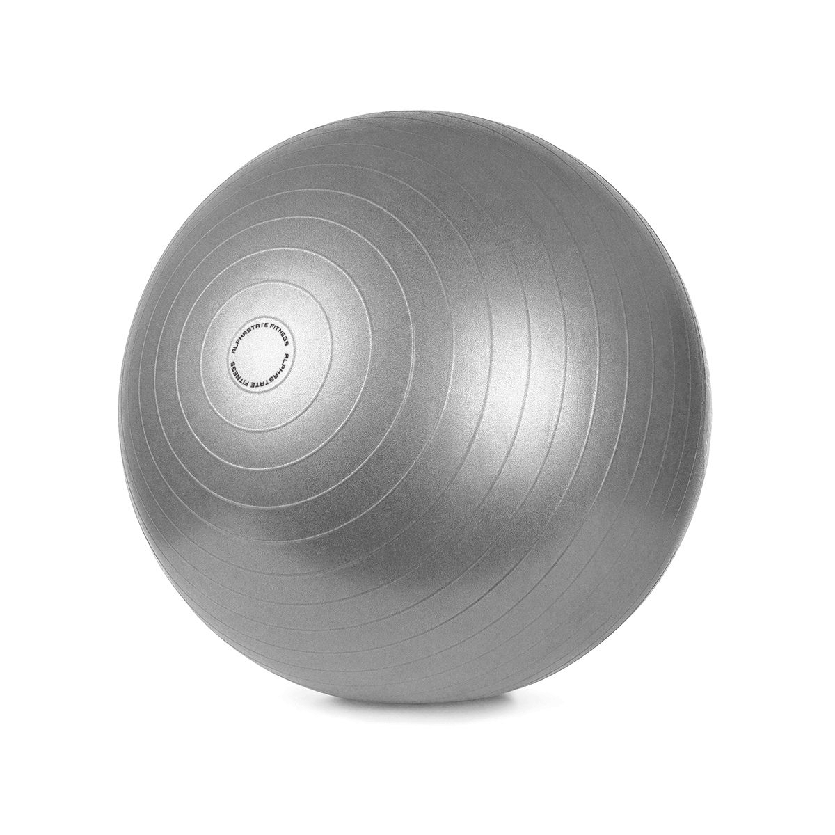 Gym Ball Anti-Burst 65cm