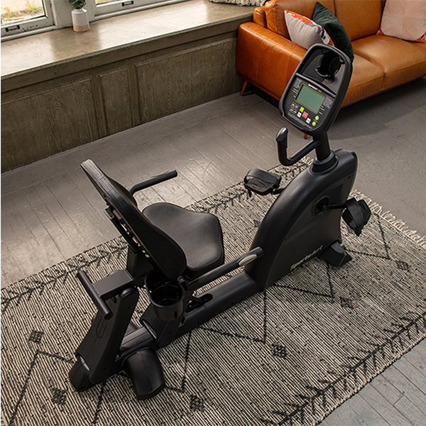C55R - Recumbent Bike