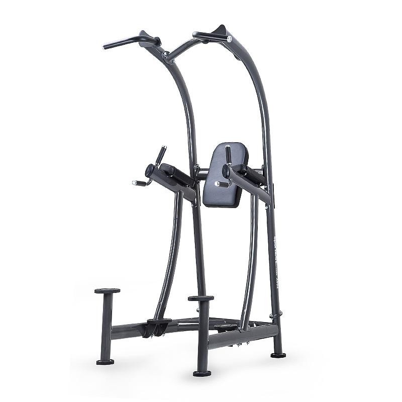 SportsArt Leg raise Chin dip A994