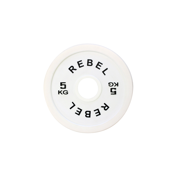 REBEL Fractional Micro Weight Plates