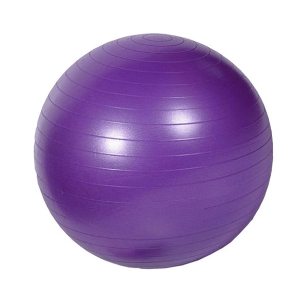 Functional Equipment Purple Gym Ball Gym Concepts