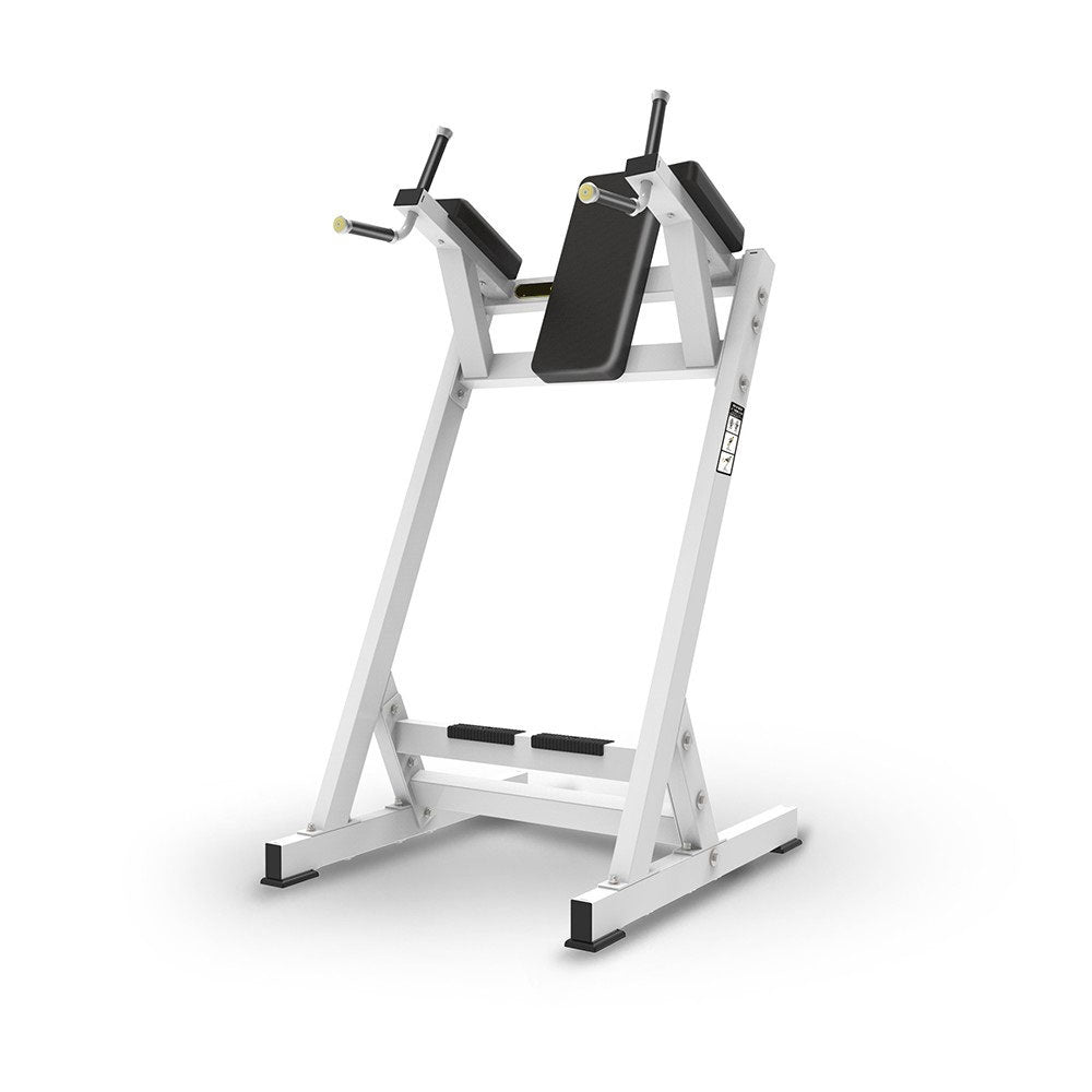 AlphaState Knee Up/Dip - Peak Performance