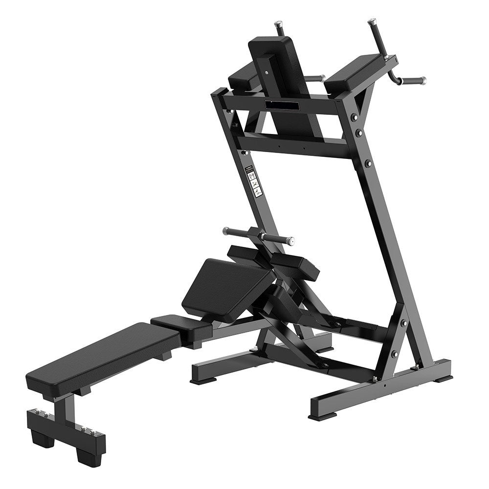 AlphaState Abdominal Work Station - Peak Performance