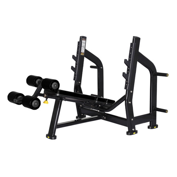 BenchMark Decline Bench | Performance Line