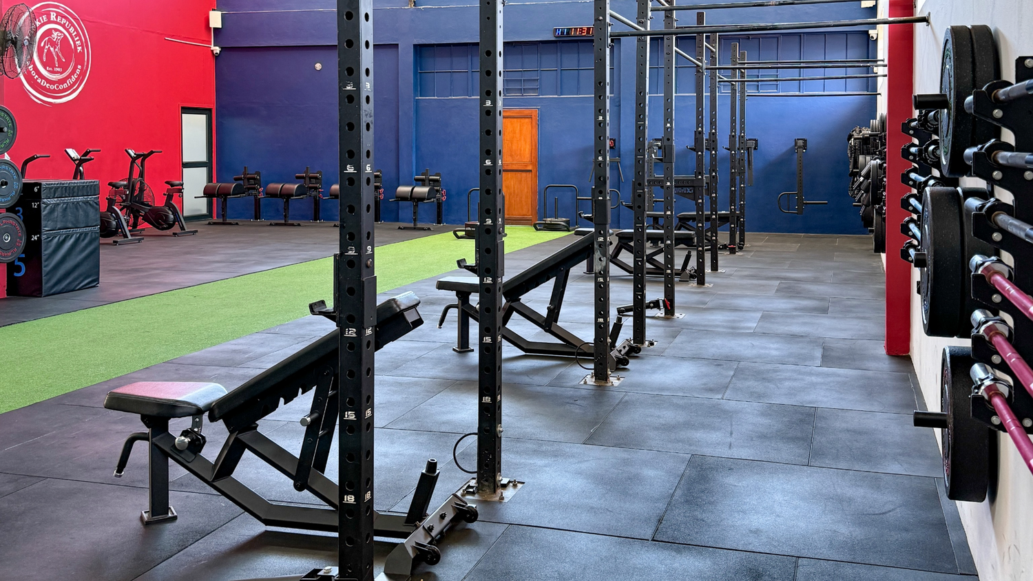 5 Benefits of a Multi-Functional Rig for your Gym