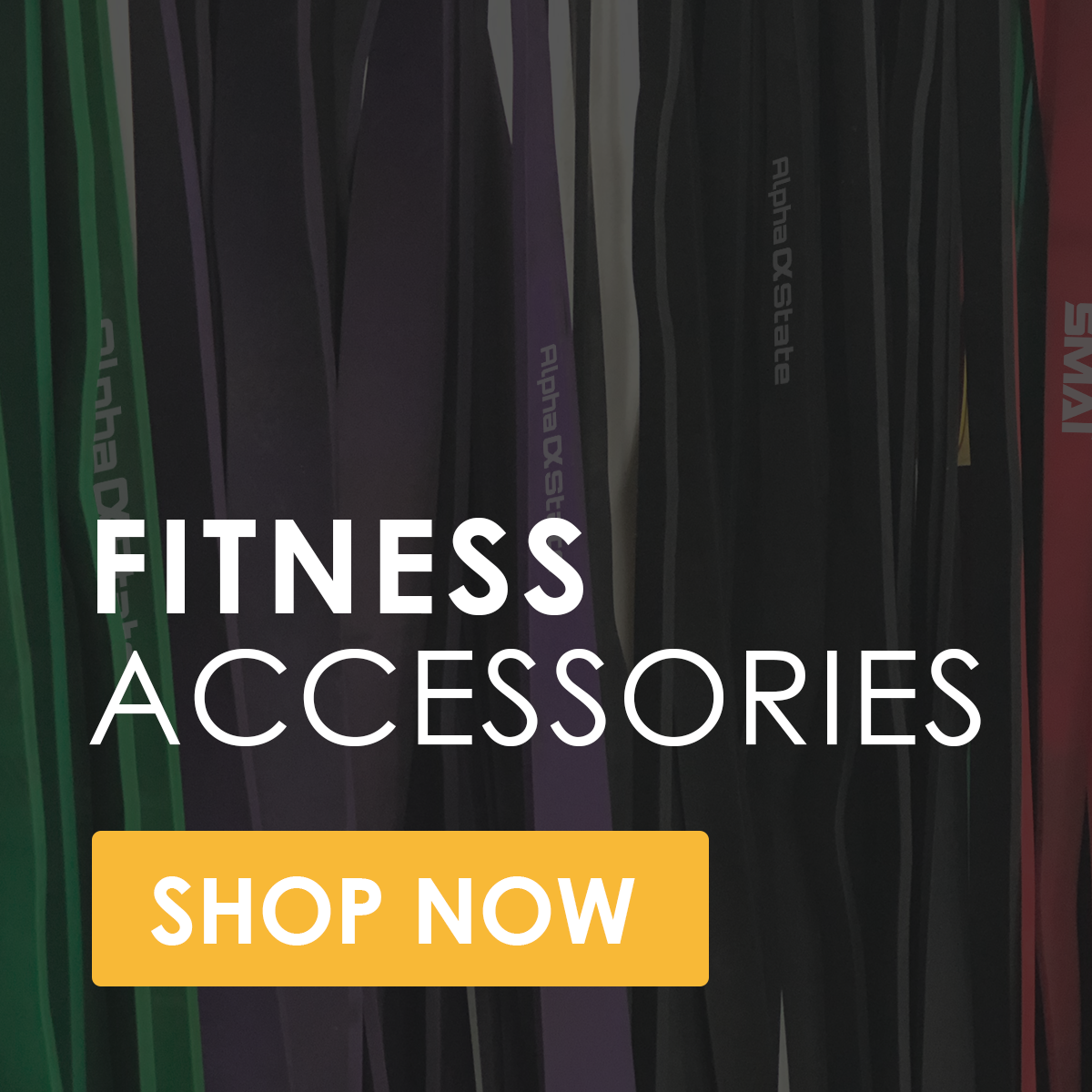 Fitness Accessories