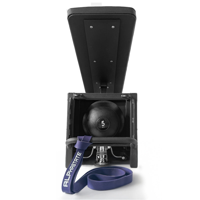 Pandora Multifunctional Weight Bench - Bench Only