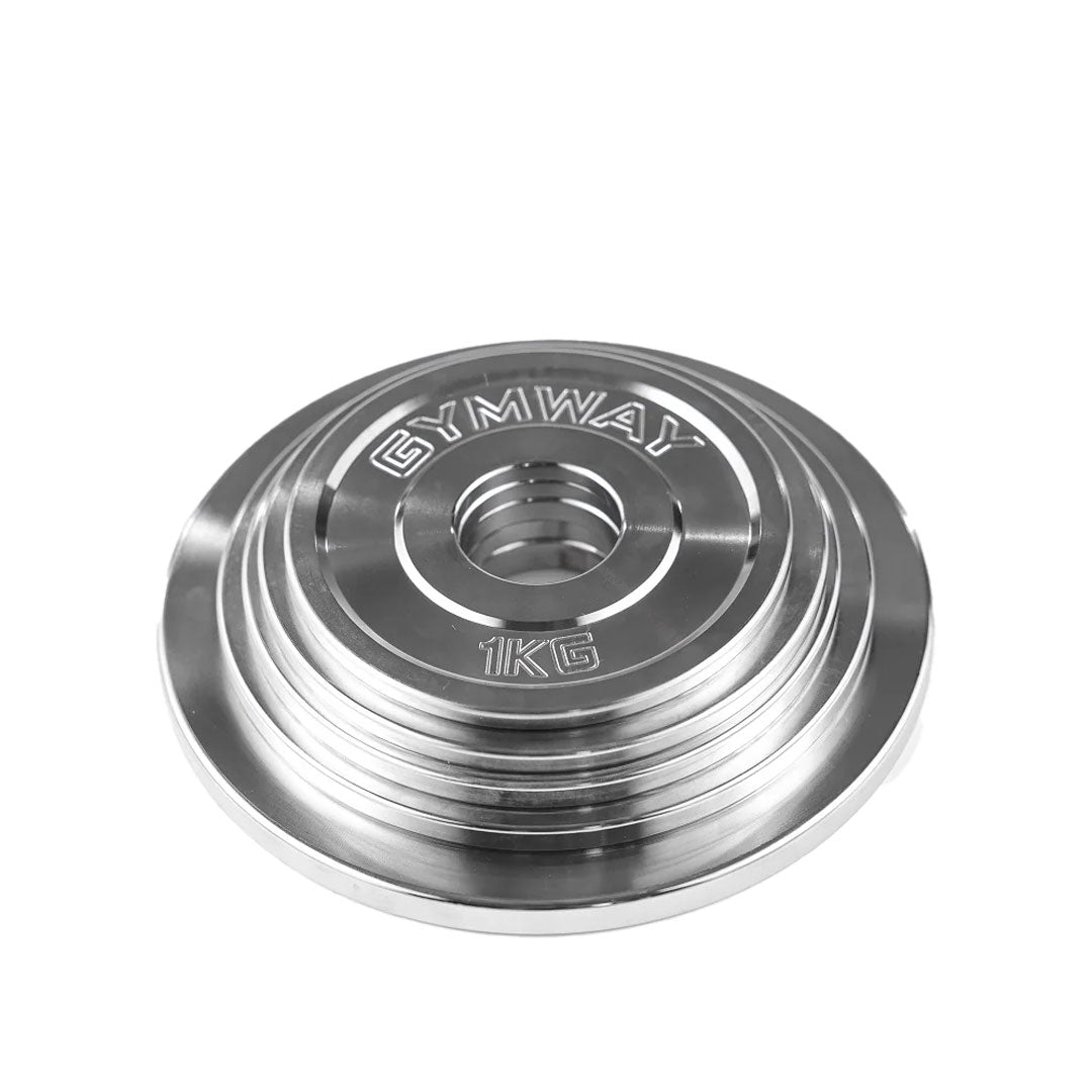 Gymway Fractional Plate Set