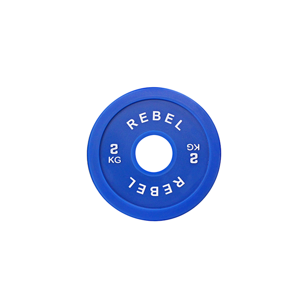 REBEL Fractional Micro Weight Plates