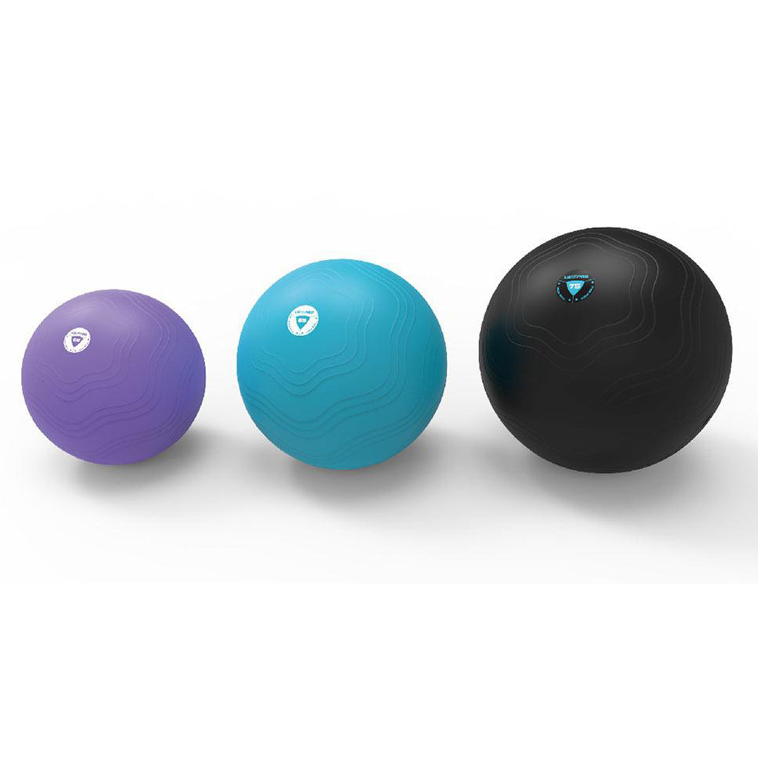 LIVEPRO Aerobic Balls